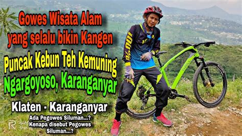 Bentangan kebun teh yg sangat indah membuat rasa capek terasa terobati. Gowes ke Puncak Kebun Teh Kemuning Ngargoyoso / Klaten ...