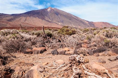 Tenerife Canary Islands Spain Stock Image Image Of Range Geology