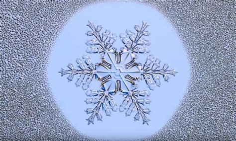 Watch This Scientist Make Identical Snowflakes Boing Boing