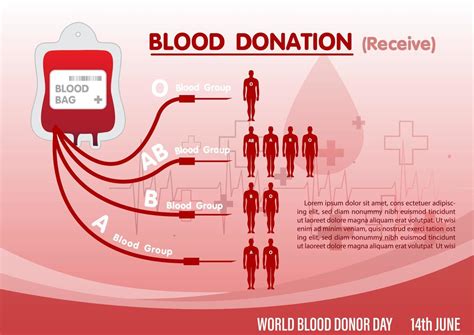 infografía de donación de sangre con recepción a humanos en varios