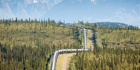Trans Alaska Pipeline One Of The Worlds Largest Oil Pipelines Spans