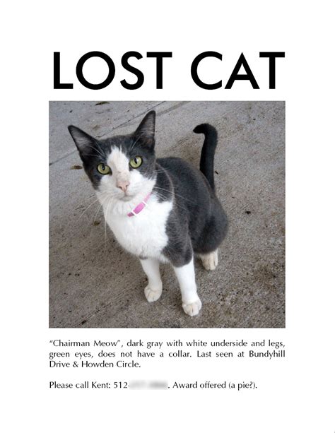 7 Tips For Finding Your Lost Cat