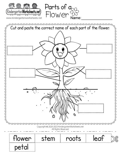 Free Printable Parts Of A Flower Worksheet Parts Of A Plant And Flower Labelling Activity