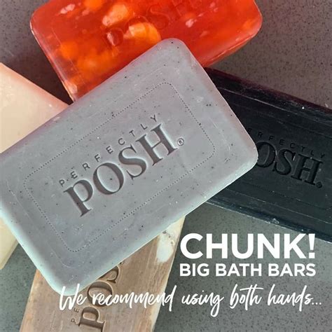 Chunk Posh Products Perfectly Posh Chunky Soap