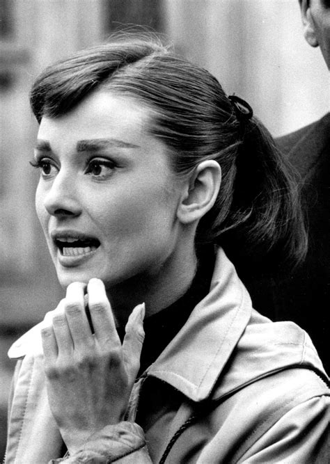 Audrey Hepburn Audrey Hepburn Eyebrows Audrey Hepburn Photos Audrey Hepburn