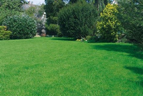 Maybe you would like to learn more about one of these? christen garten- und landschaftsbau ag | Das Rasen-Abo