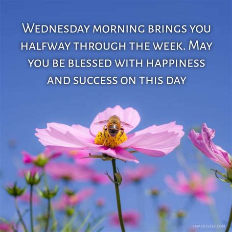 Best Wednesday Blessings Images Quotes In Images Vibe