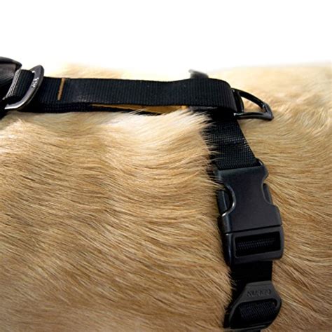 Kurgo Tru Fit No Pull Dog Harness Easy Walk Harness