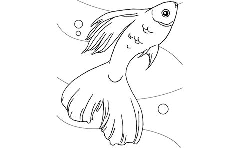 Could you print it out and color it? Print & Download - Cute and Educative Fish Coloring Pages