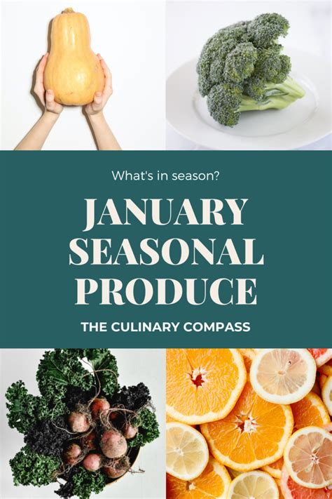Produce In Season January The Culinary Compass