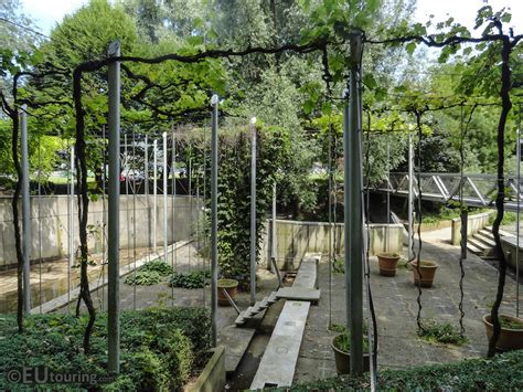 Hd Photos Of Jardin De La Treille Vineyard Inside Parc De
