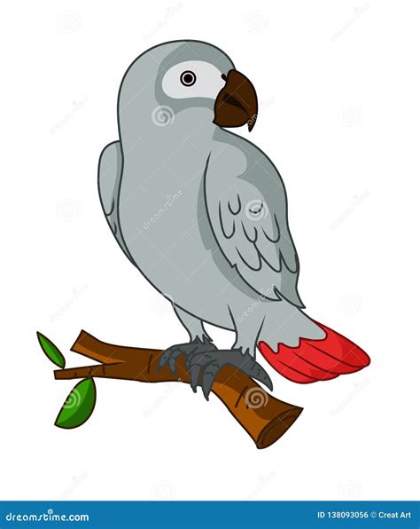 African Grey Parrot Illustration Vectorparrot Vector Stock Vector