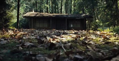 If you have not seen cabin in the woods , don't read any further — it's one of the best horror movies i've ever seen, and you'll ruin the experience if you know much about it. Films, Music, and Other Stuff: The Cabin in the Woods: WTF?