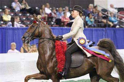 Worlds Championship Horse Show In Louisville At Kentucky State