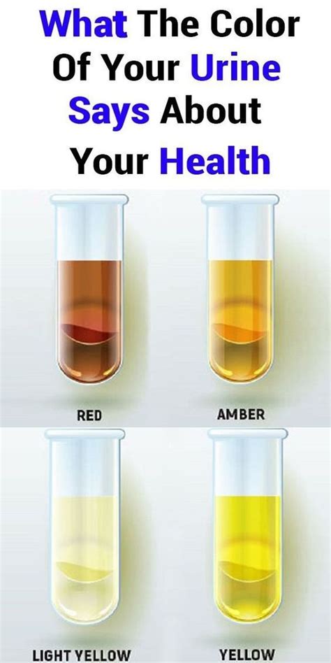 What The Color Of Your Urine Says About Your Health Healthy Hard