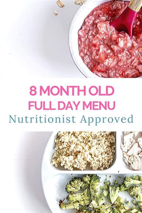 8 Month Old Meal Plan   Nutritionist Approved   Creative  