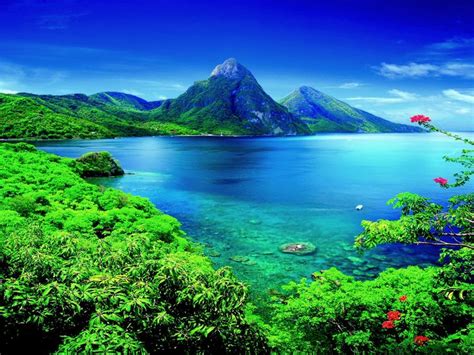 22 Best St Lucia Images On Pinterest Vacation Places Beautiful