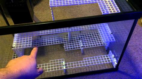 For heating the frag aquarium i use the eheim jäger thermostatic heaters 100w. 75 Gallon MARINELAND Reef Tank Build Part 4- Adding A Frag Tank To The System - YouTube