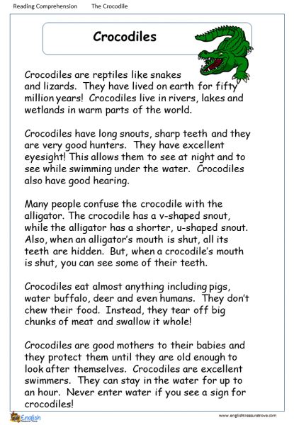 Crocodiles English Comprehension Worksheet English Treasure Trove