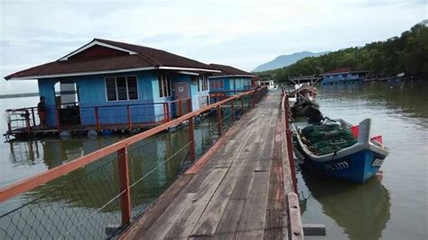 Memancing ikan gelama di sungai merbok (segantang garam). Chalet Terapung Segantang Garam, Merbok, Kedah. - Tempat ...