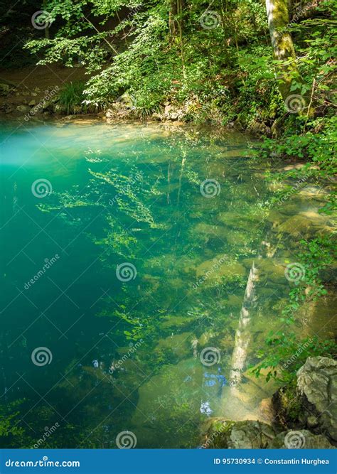 Pond In The Woods Ochiul Beiului Caras Severin County Romania Stock