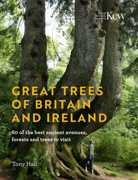 Great Trees Of Britain And Ireland 60 Of The Best Ancient Avenues