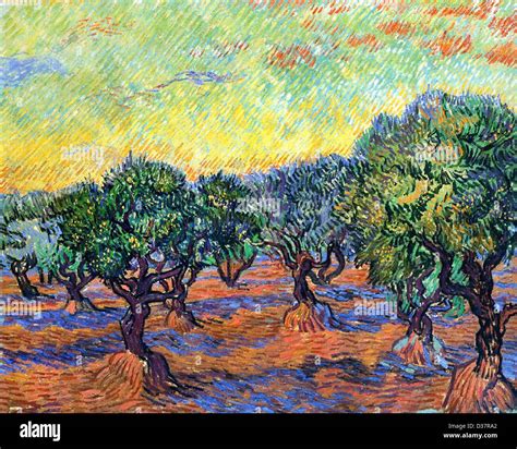 Vincent Van Gogh Olive Grove Ciel Orange Le