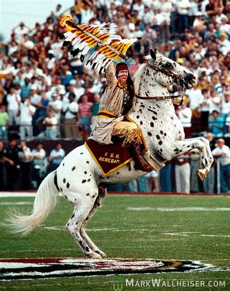 Florida State Mascot Pictures Chief Osceola Atop Renegade At Mid