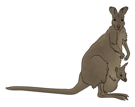 Red Necked Wallaby Clipart Free Download Transparent Png Creazilla