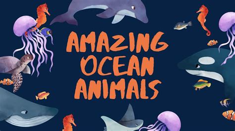 The Amazing Animals Youll Find In The Ocean Youtube