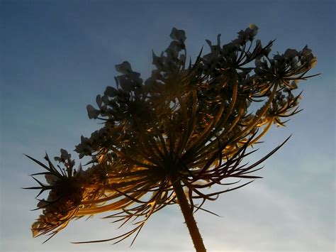 2191 eden rd lot 27, abilene, ks 67410. Another Porch ...A Poetry Blog: Almost Eden Garden Retreat