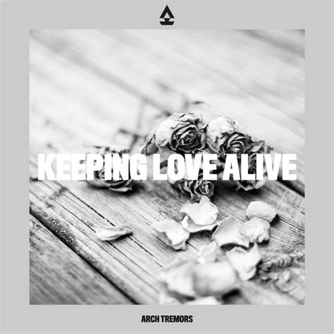 Keeping Love Alive Paeta Remix Instrumental Version Song And