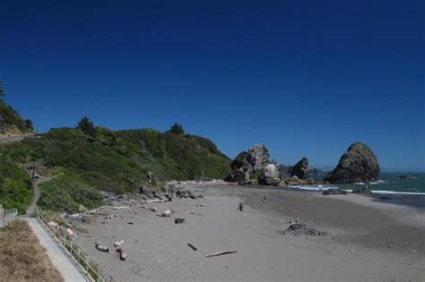 Maybe you would like to learn more about one of these? Camping at Harris Beach State Park, OR