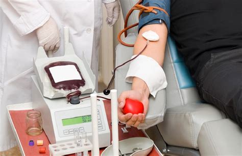 Quanto Litro De Sangue Tem O Corpo Humano