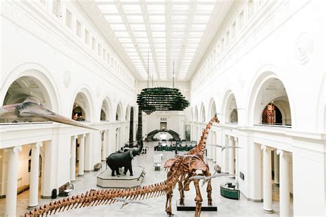 Every Day In February Is A Free Day At The Field Museum Field Museum