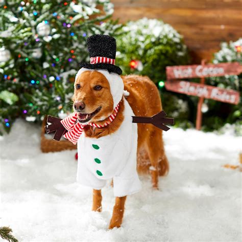 Dog Christmas Costume