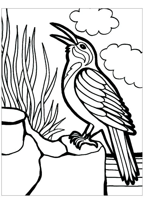 Printable Bird Coloring Pages