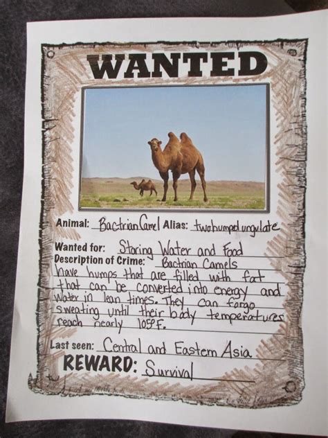 Animal Adaptations Create Wanted Posters Science Animalsanimal