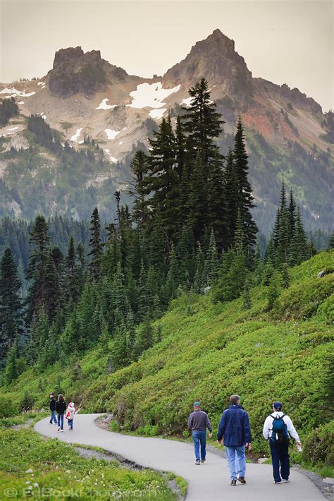 Hikers On Trail At Paradise Mount Rainier National Park Wa Usa