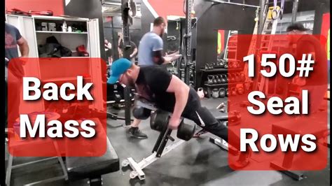 Incline Seal Rows Finisher For Back Mass YouTube