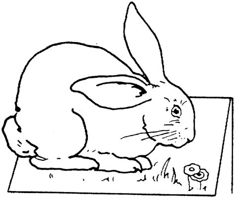 Free Printable Rabbit Coloring Pages For Kids Rabbit To Download