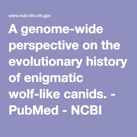 A Genome Wide Perspective On The Evolutionary History Of Enigmatic Wolf
