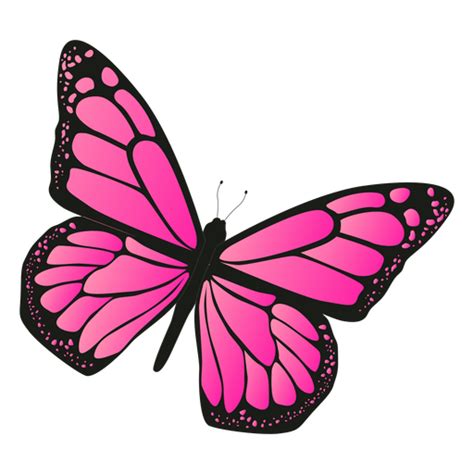 Detailed pink butterfly vector - Transparent PNG & SVG vector file
