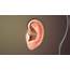 Ear Function And Related Conditions  Scientific Animations