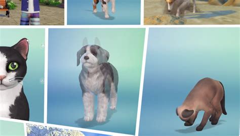 Sims 4 Pets Expansion Pack Trailer Arabialana