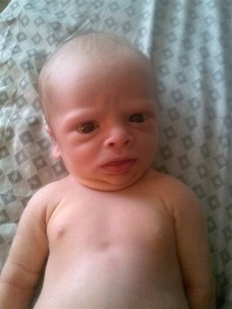 Funny Baby Faces Pic Funny Baby Faces Funny Babies Angry Baby Face
