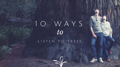 10 Ways To Listen To Trees The Treehouseblog