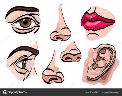 Set Human Face Parts Eyes Nose Mouth Ear Vector Illustration Stock