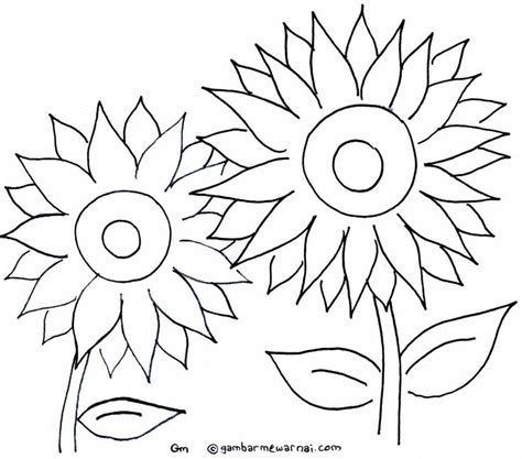 Detail Sketsa Gambar Kolase Bunga Matahari Koleksi Nomer 44