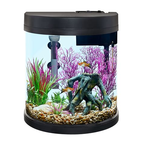 Top Fin 10 Gallon Aquarium Starter Kit With Led Lights Aquarium Views